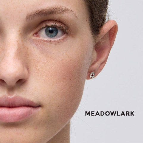 Meadowlark