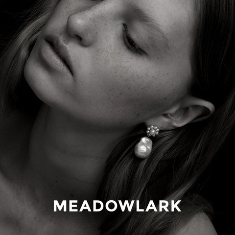 Meadowlark