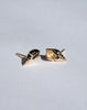 Conch Stud Earrings - Gold Plated