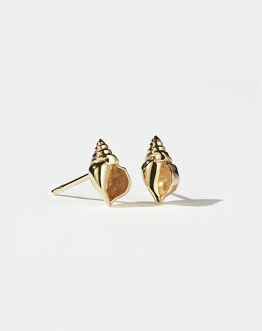 Conch Stud Earrings - Gold Plated