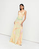 Charlie Gown - Hummingbird