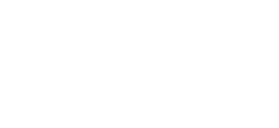 Belle Bird Boutique