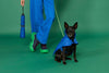 Dog Jacket - Puddles Blue