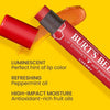 Burts Bees Lip Shimmer